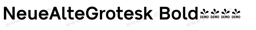 NeueAlteGrotesk Bold字体转换